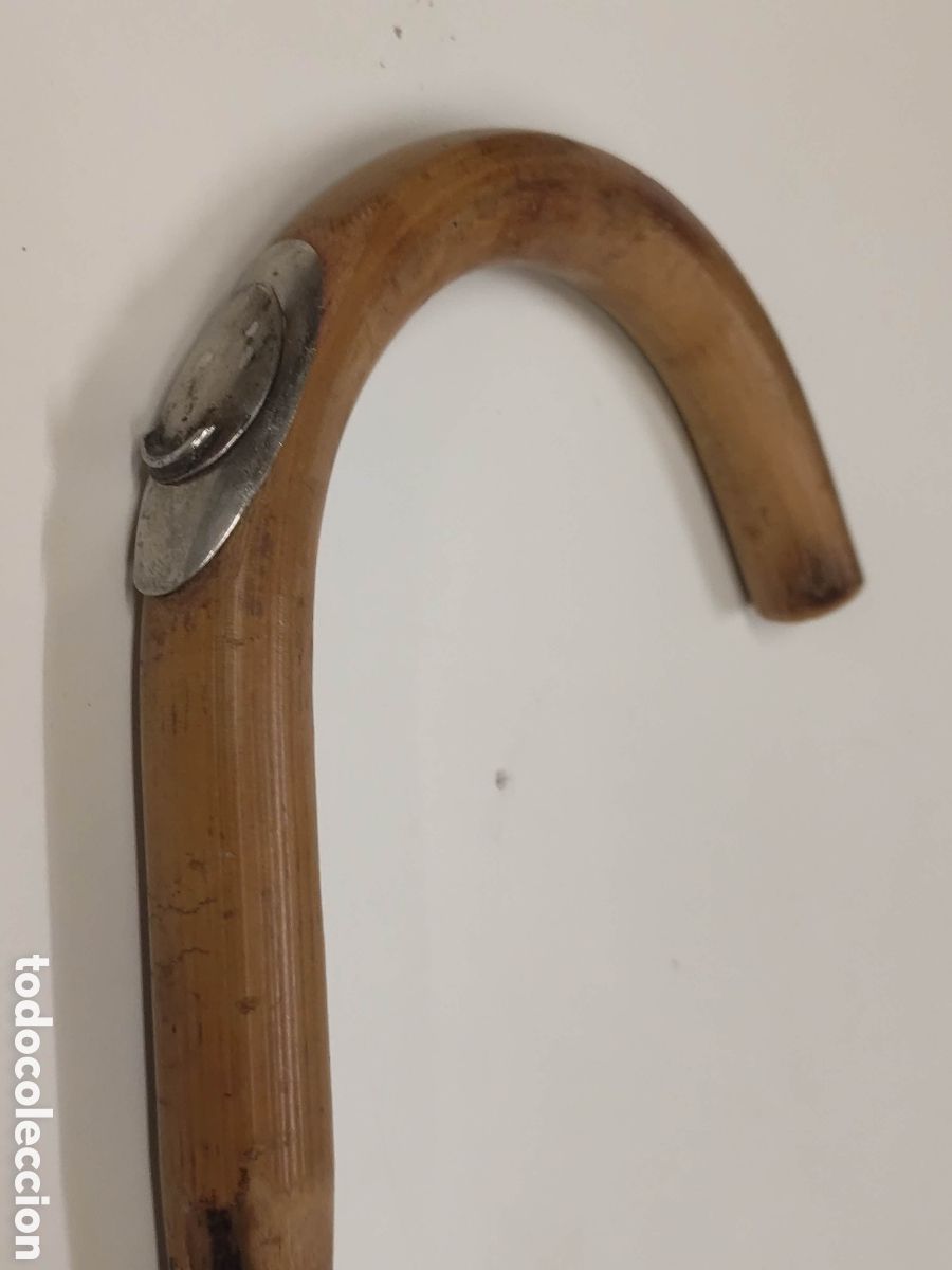 Antig&uuml;edades: Bast&oacute;n Hipo m&eacute;trico - Foto 3