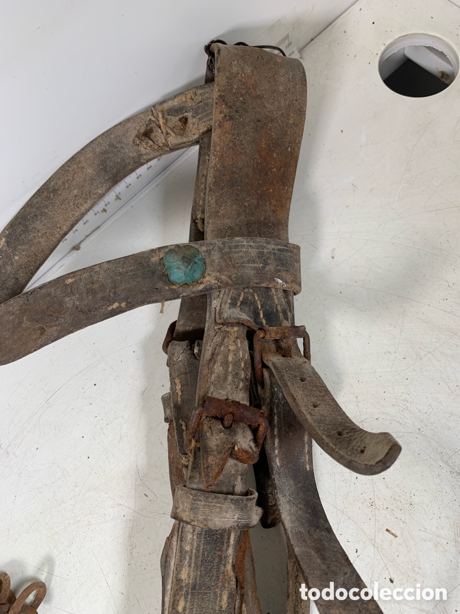 Antig&uuml;edades: 01_ cabezada para ganader&iacute;a - Foto 5