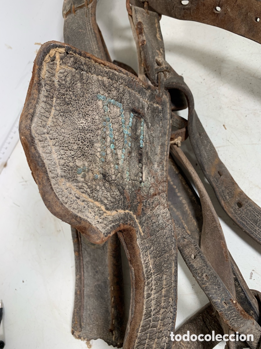 Antig&uuml;edades: 01_ cabezada para ganader&iacute;a - Foto 4