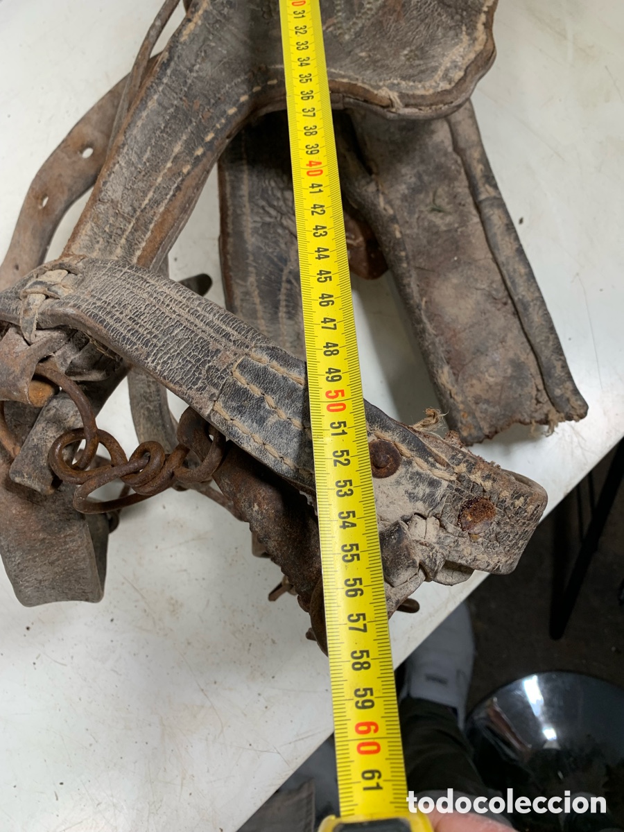 Antig&uuml;edades: 01_ cabezada para ganader&iacute;a - Foto 12