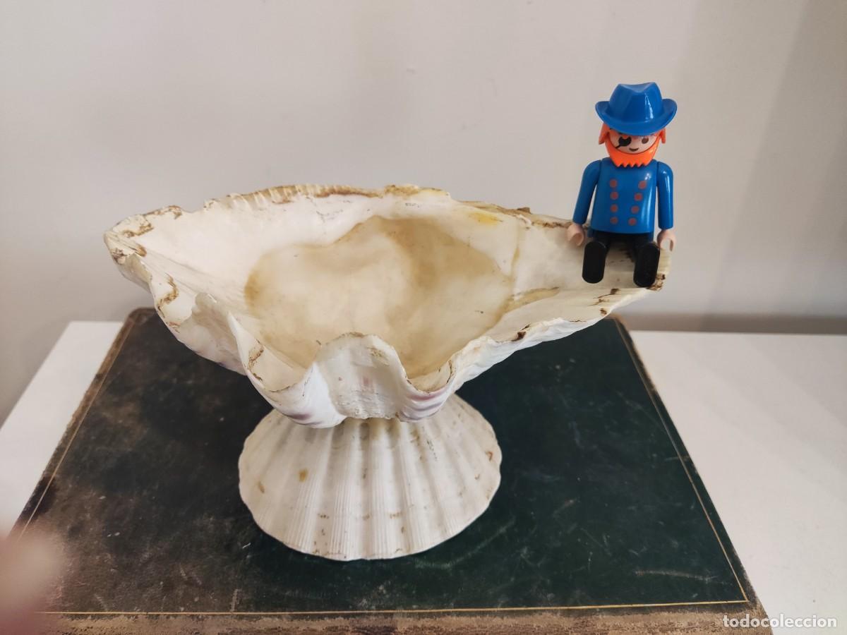 Antig&uuml;edades: ANTIGUA BENDITERA CONCHAS - Foto 1