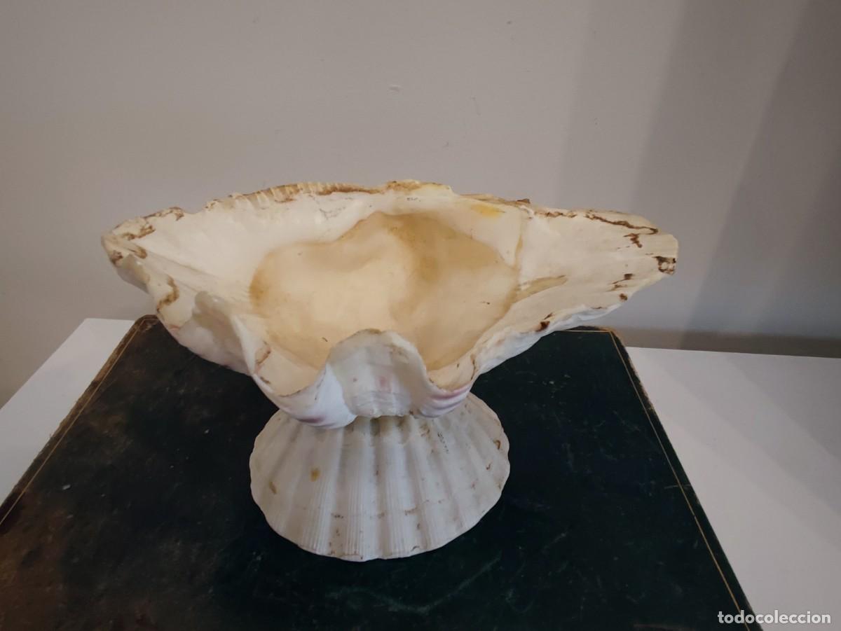 Antig&uuml;edades: ANTIGUA BENDITERA CONCHAS - Foto 2