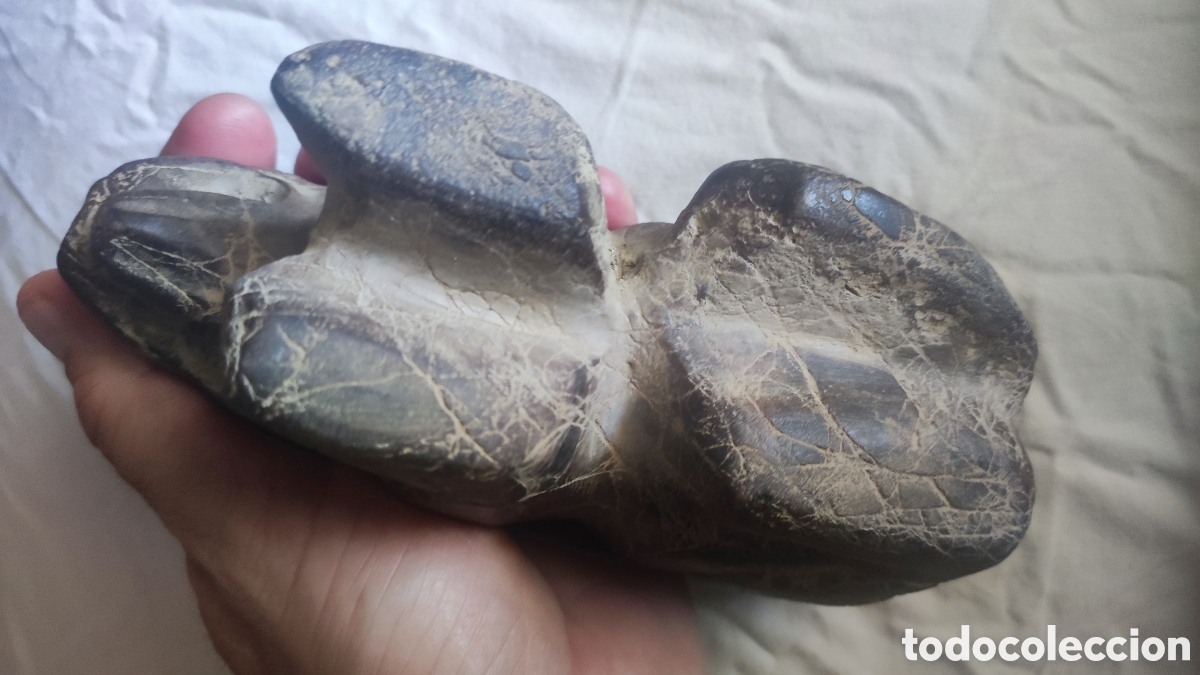 Antig&uuml;edades: Excepcional Le&oacute;n persa, asirio, en piedra - Foto 6