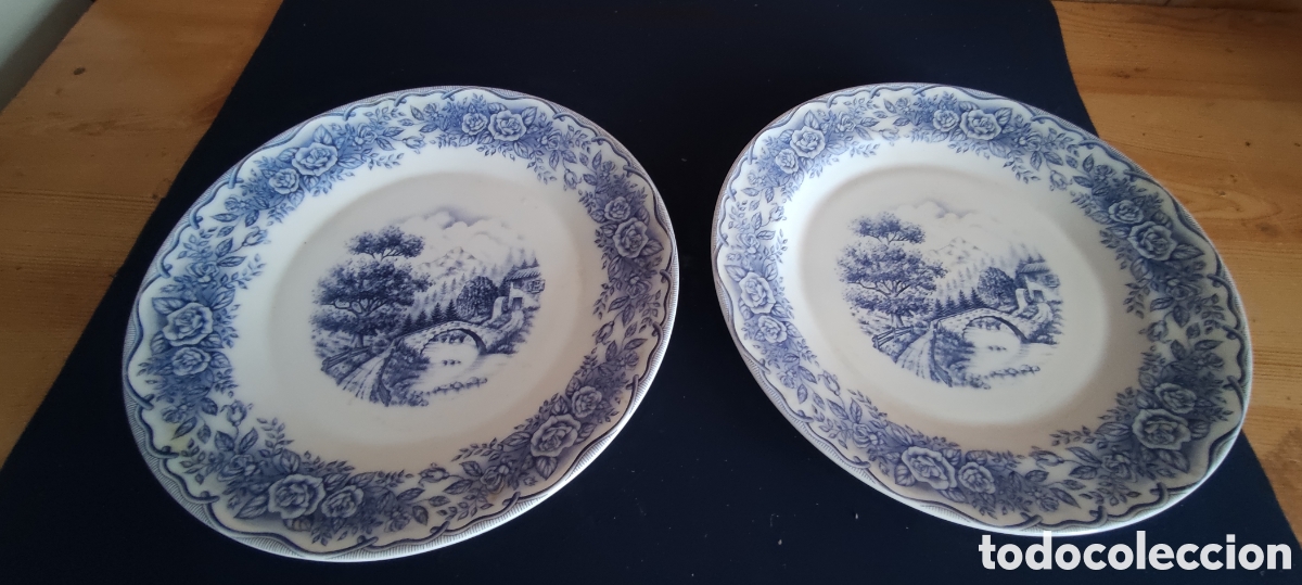 Antig&uuml;edades: Pareja de platos de pircelana - Foto 2