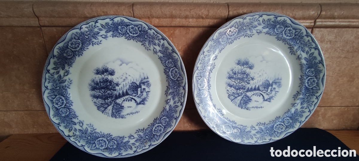 Antig&uuml;edades: Pareja de platos de pircelana - Foto 6