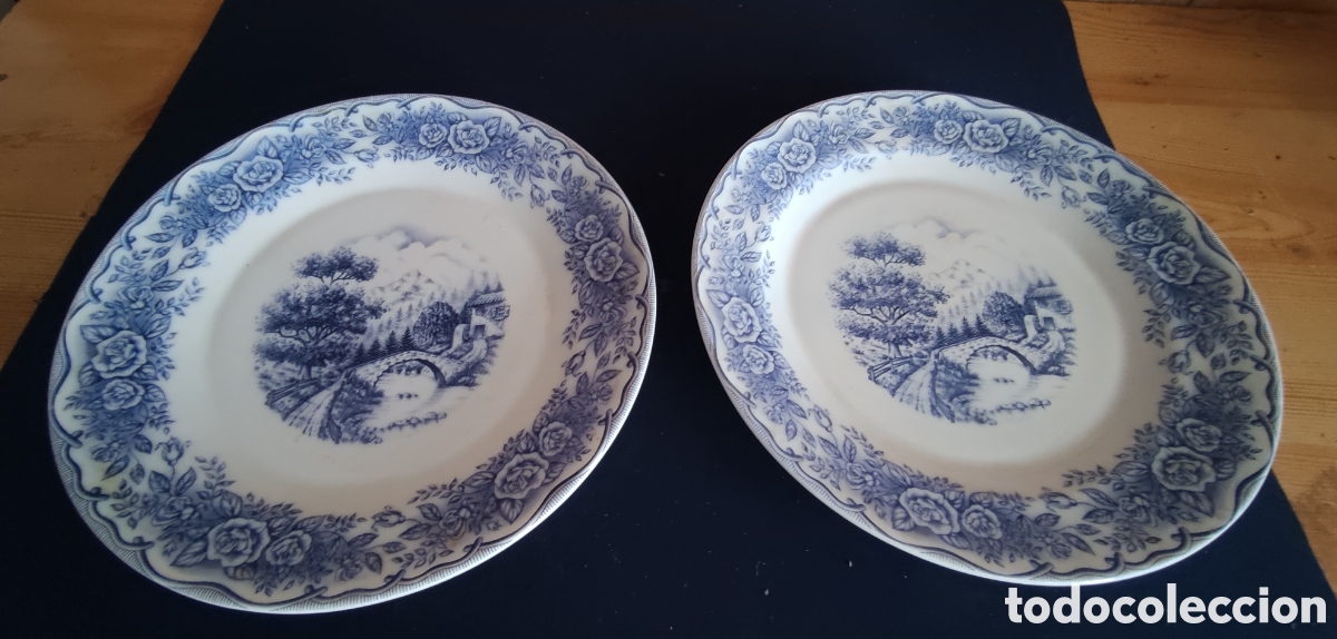 Antig&uuml;edades: Pareja de platos de pircelana - Foto 1