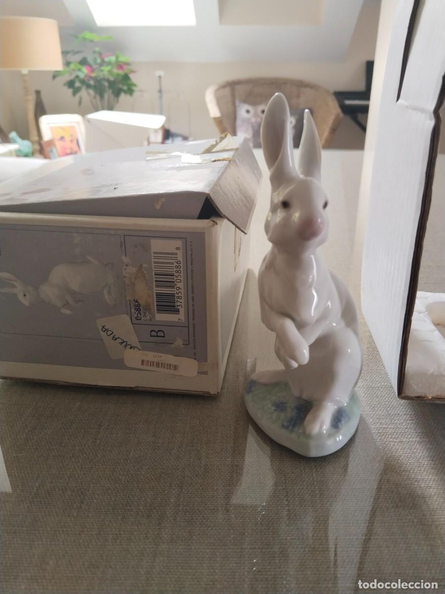 Antig&uuml;edades: Lladro. Conejito con apetito - Foto 2
