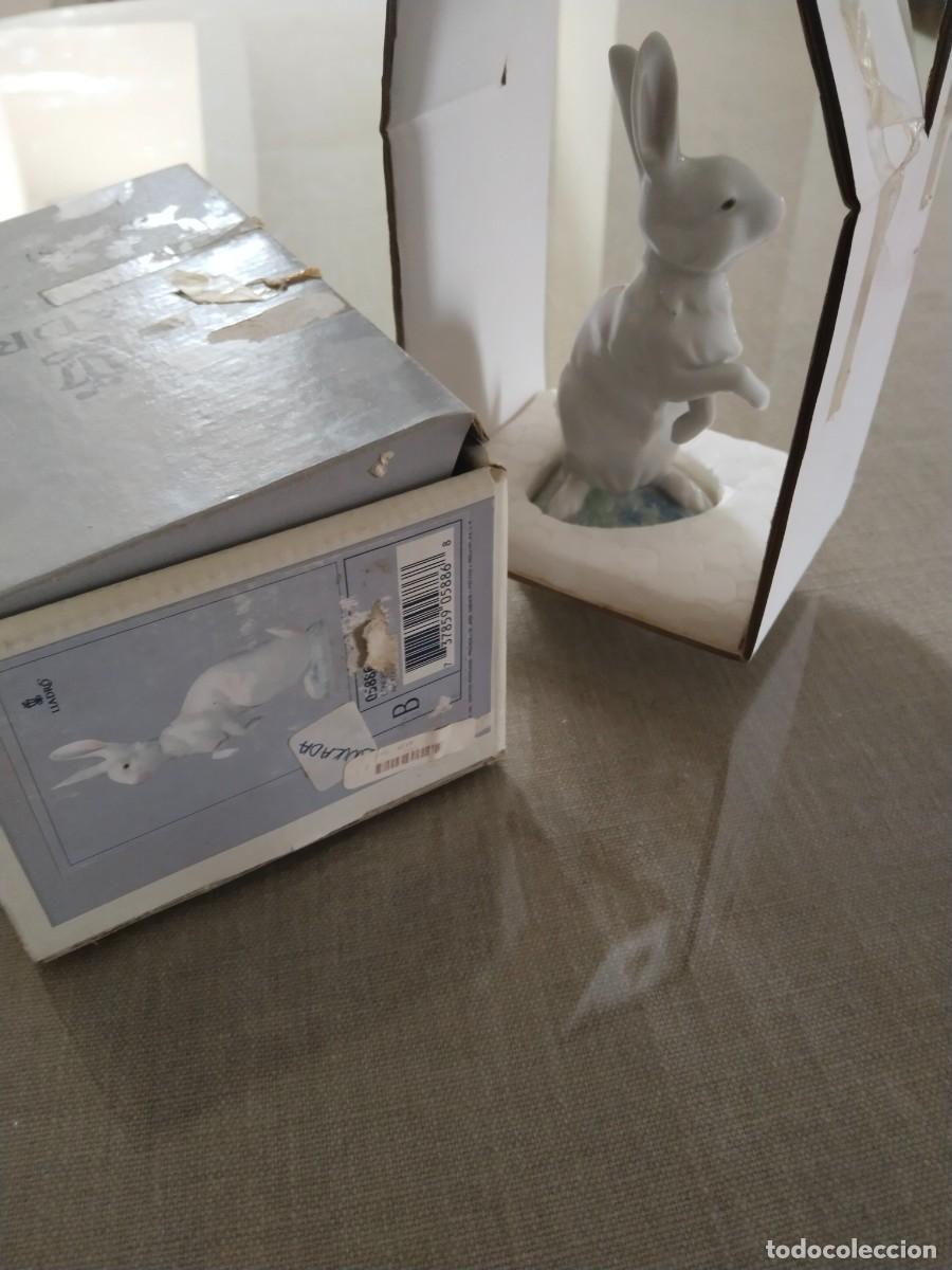 Antig&uuml;edades: Lladro. Conejito con apetito - Foto 3
