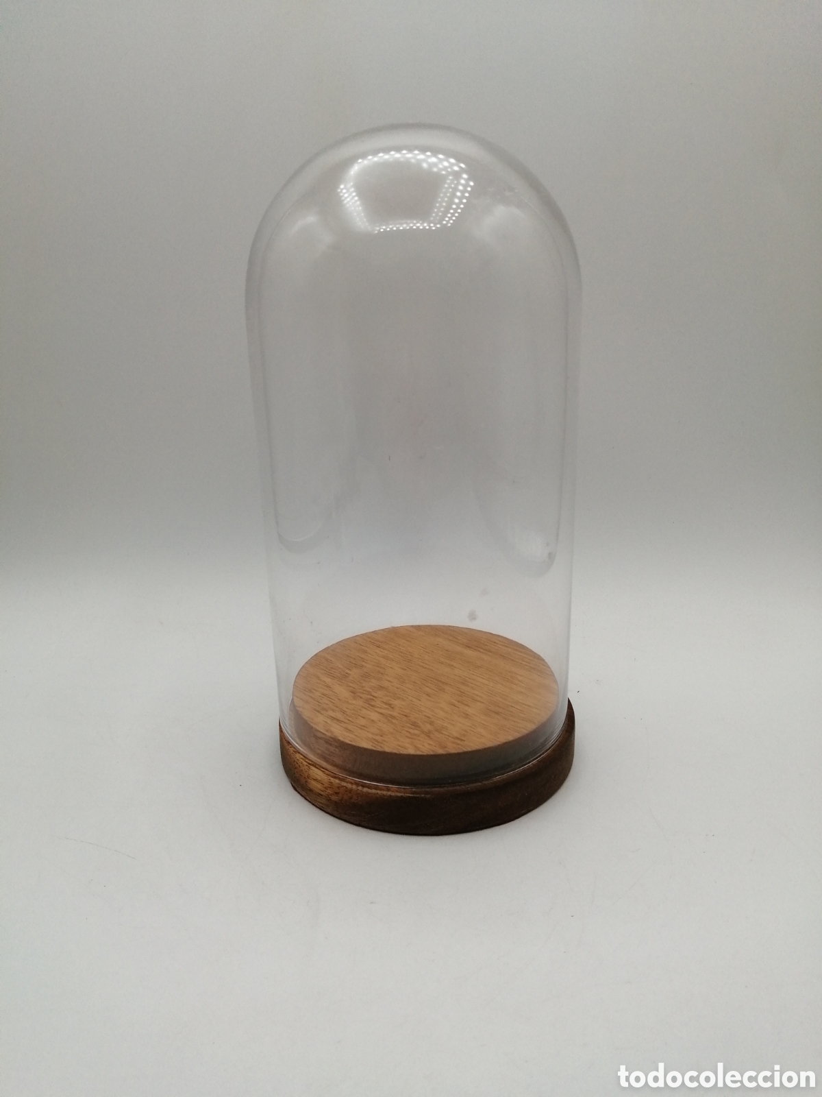 Antig&uuml;edades: Fanal c&uacute;pula de cristal. Base de madera - Foto 2