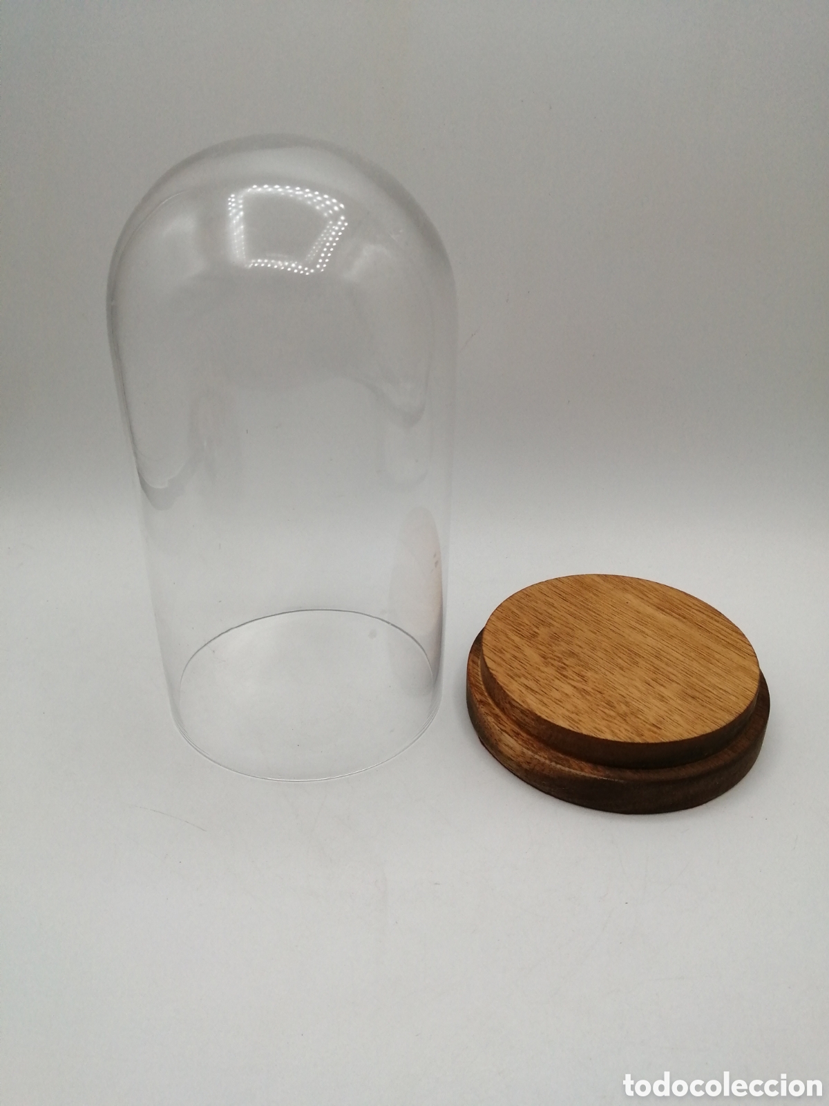 Antig&uuml;edades: Fanal c&uacute;pula de cristal. Base de madera - Foto 3
