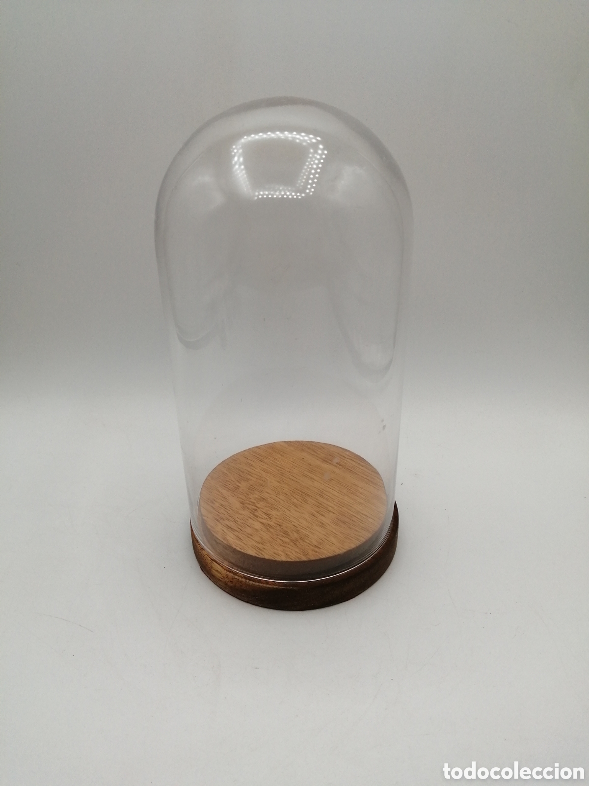 Antig&uuml;edades: Fanal c&uacute;pula de cristal. Base de madera - Foto 1