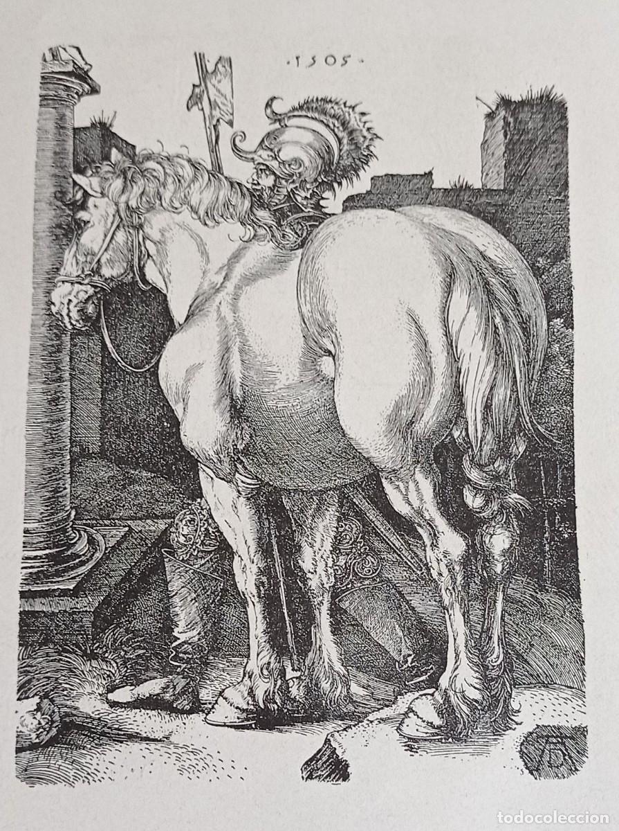 Antig&uuml;edades: EL GRAN CABALLO - ALBR . DURER - Foto 1