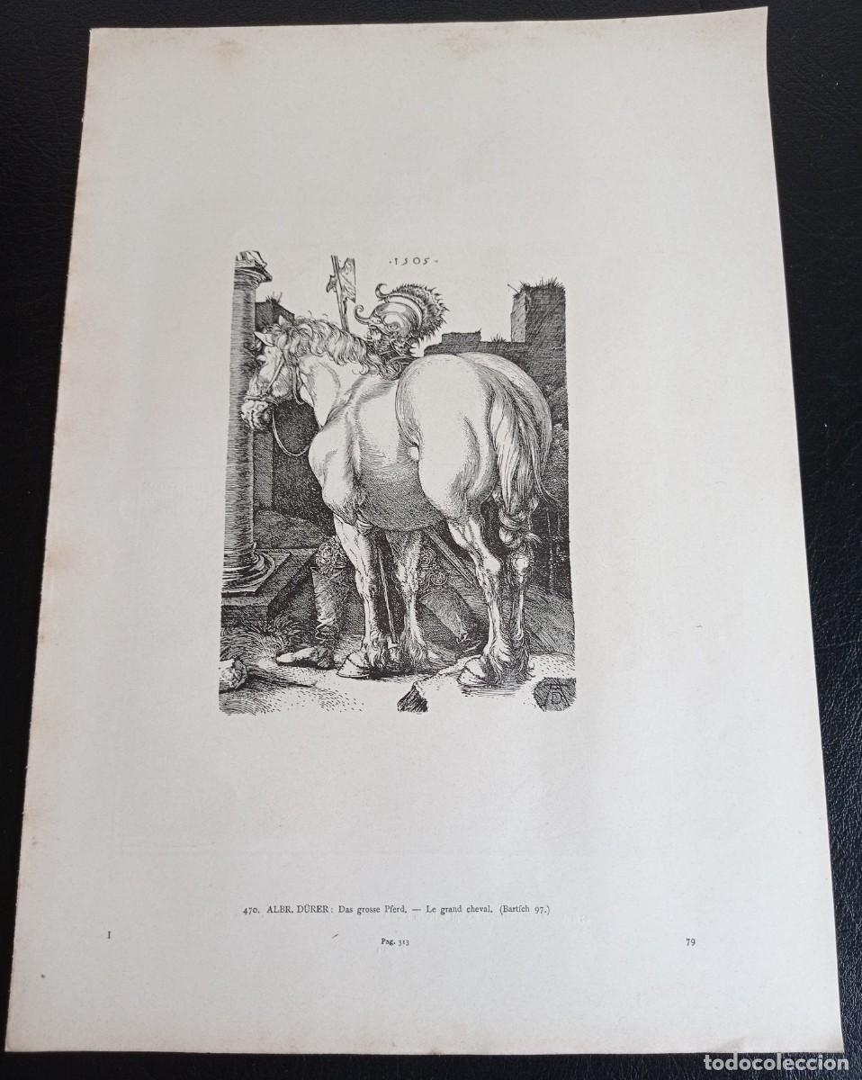 Antig&uuml;edades: EL GRAN CABALLO - ALBR . DURER - Foto 2