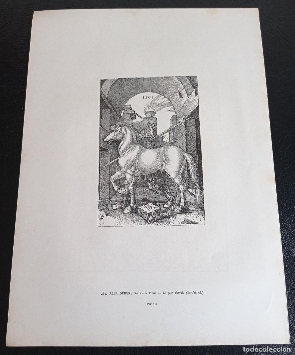 Antig&uuml;edades: EL CABALLITO - ALBR . DURER - Foto 2