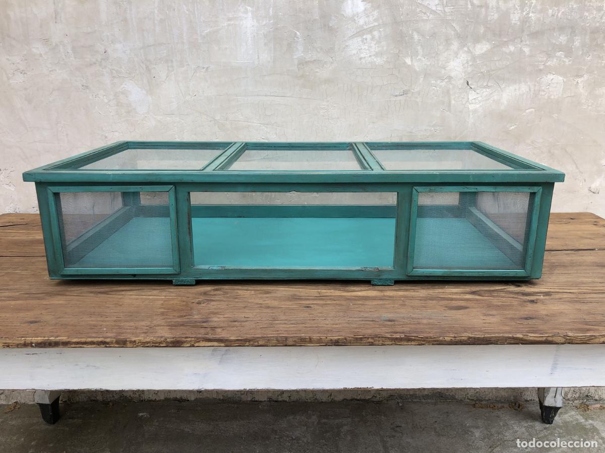 Antig&uuml;edades: vitrina de sobremesa comercio - Foto 2