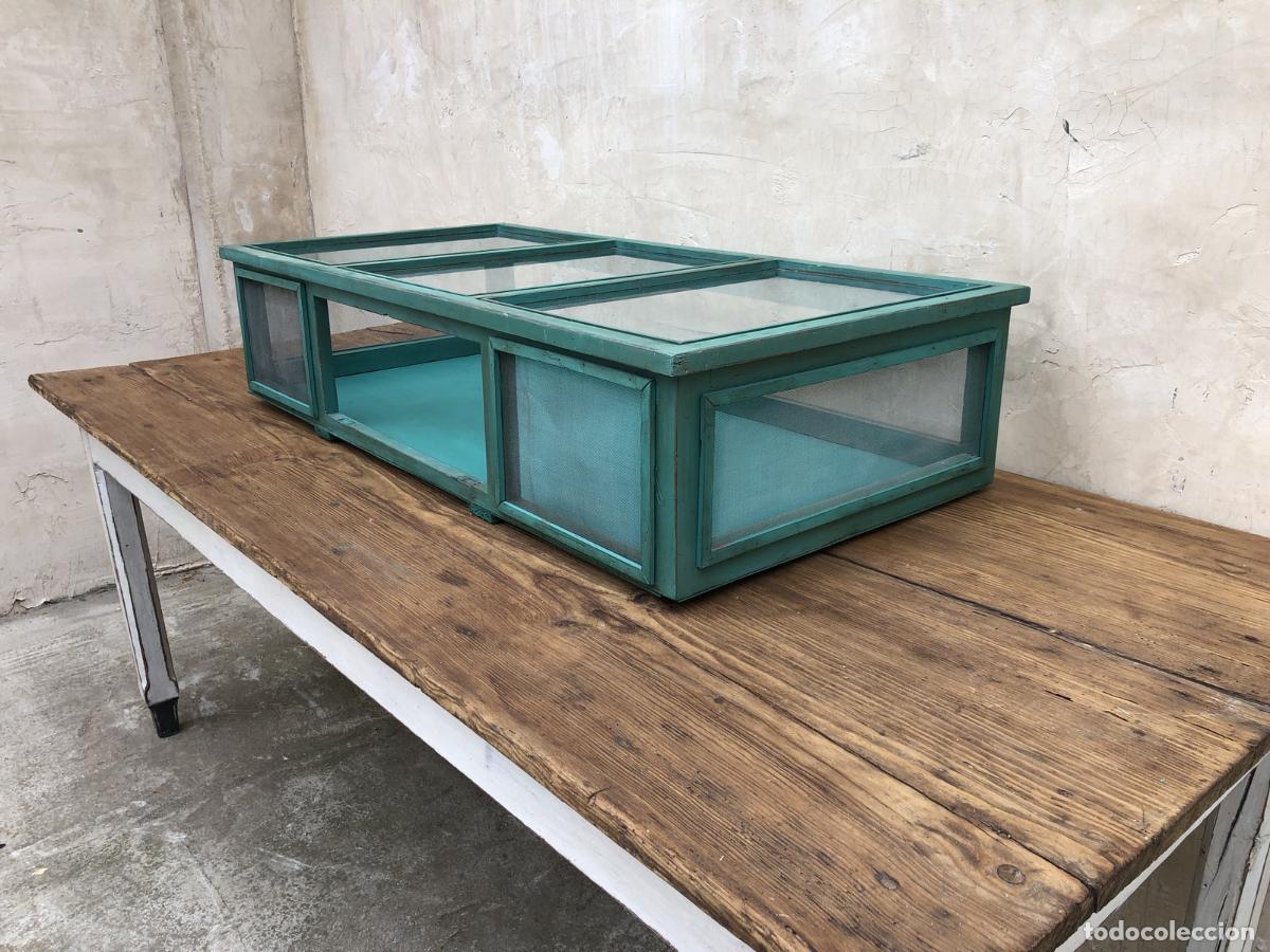 Antig&uuml;edades: vitrina de sobremesa comercio - Foto 3