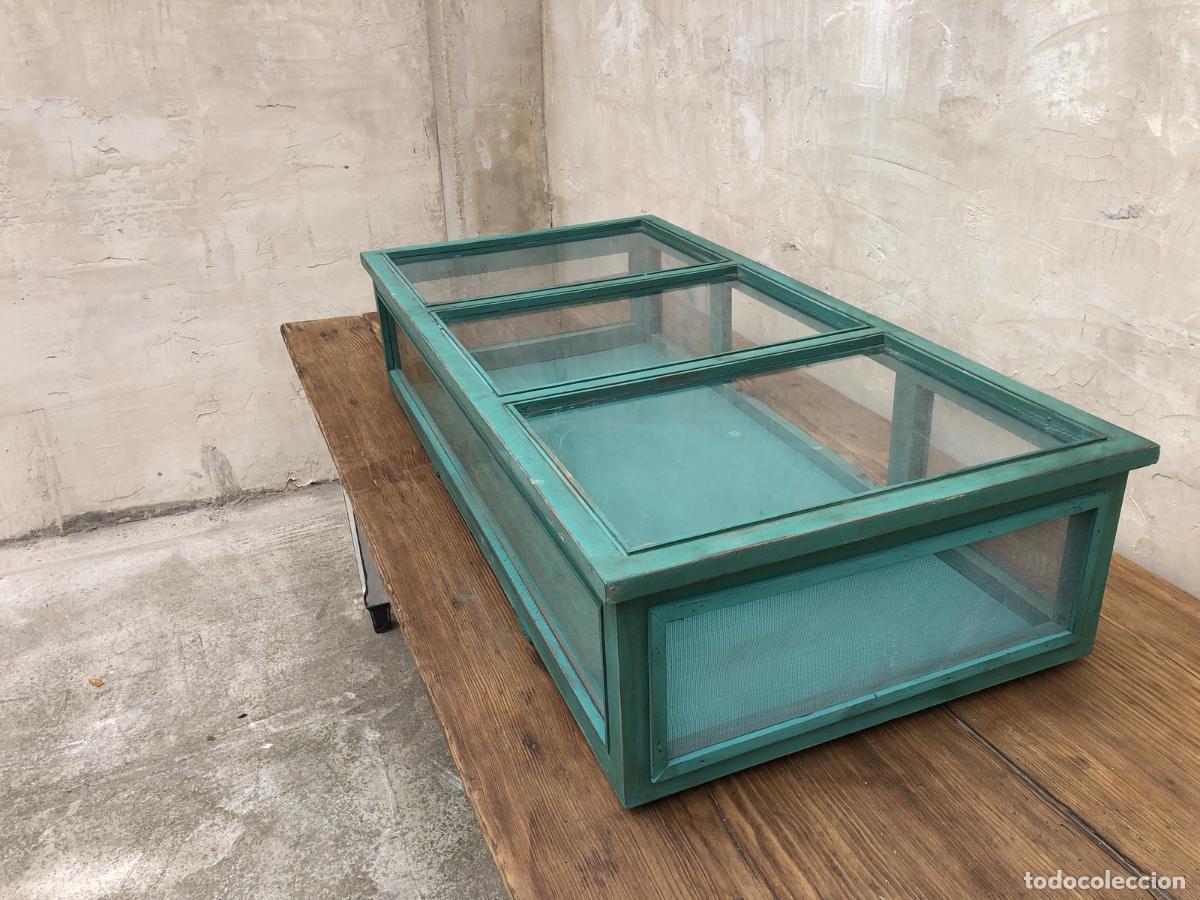 Antig&uuml;edades: vitrina de sobremesa comercio - Foto 4