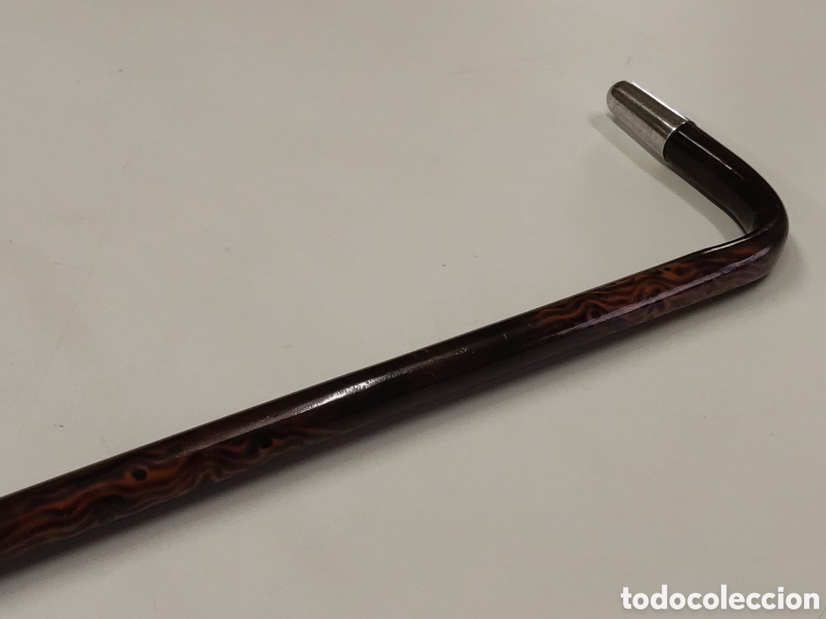 Antig&uuml;edades: Bast&oacute;n plata y madera ex&oacute;tica - Foto 5