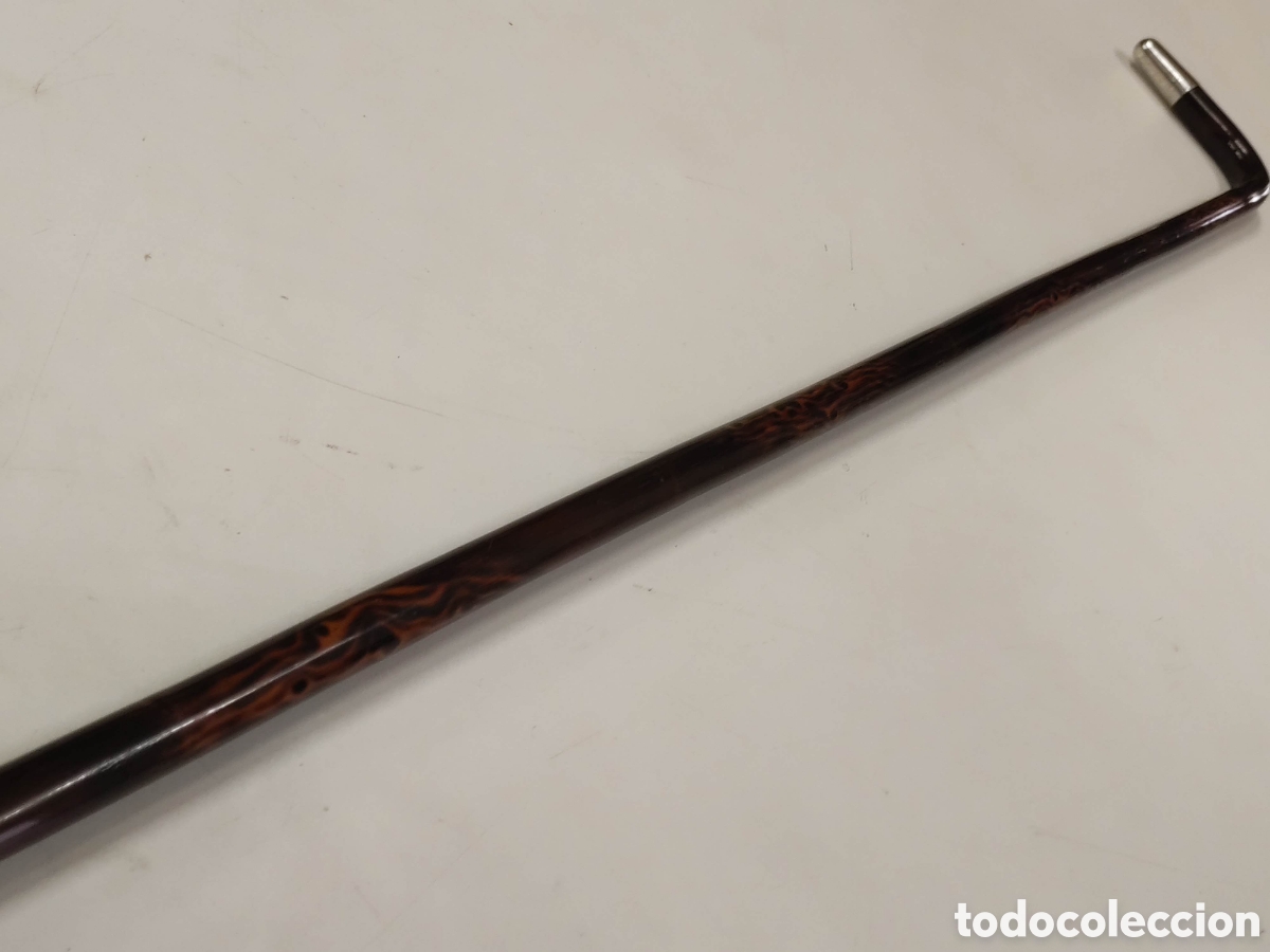 Antig&uuml;edades: Bast&oacute;n plata y madera ex&oacute;tica - Foto 7