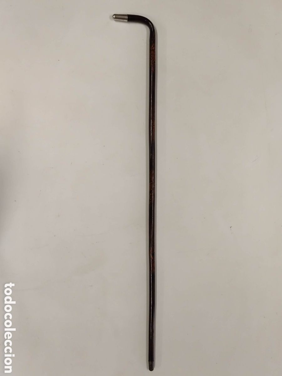 Antig&uuml;edades: Bast&oacute;n plata y madera ex&oacute;tica - Foto 2