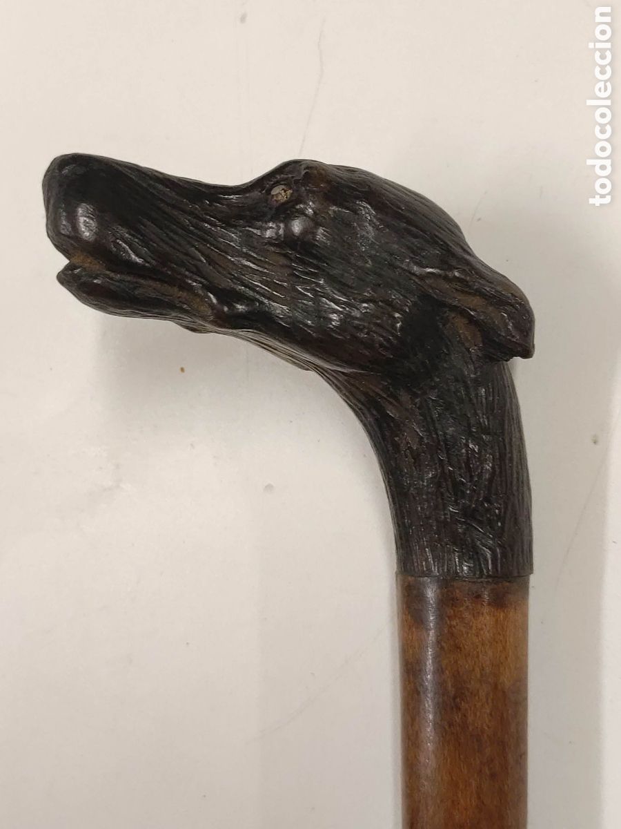 Antig&uuml;edades: Bast&oacute;n madera de Malaca y cabeza de perro - Foto 1