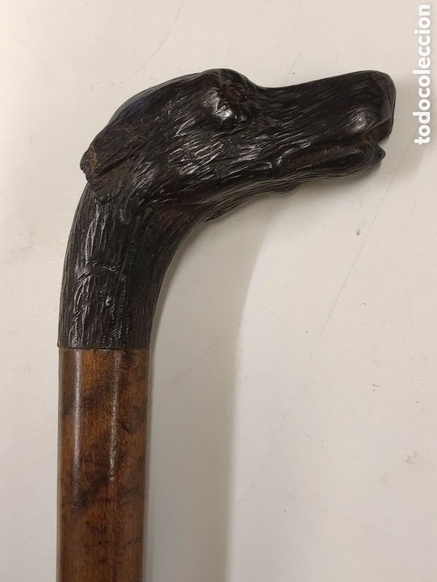 Antig&uuml;edades: Bast&oacute;n madera de Malaca y cabeza de perro - Foto 3
