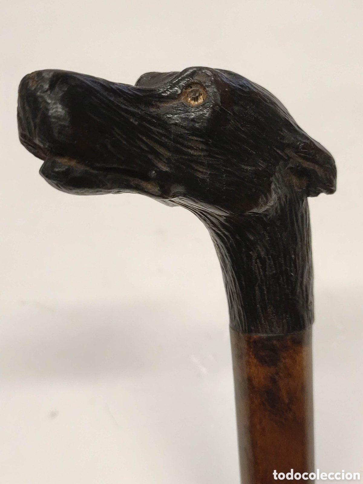Antig&uuml;edades: Bast&oacute;n madera de Malaca y cabeza de perro - Foto 4