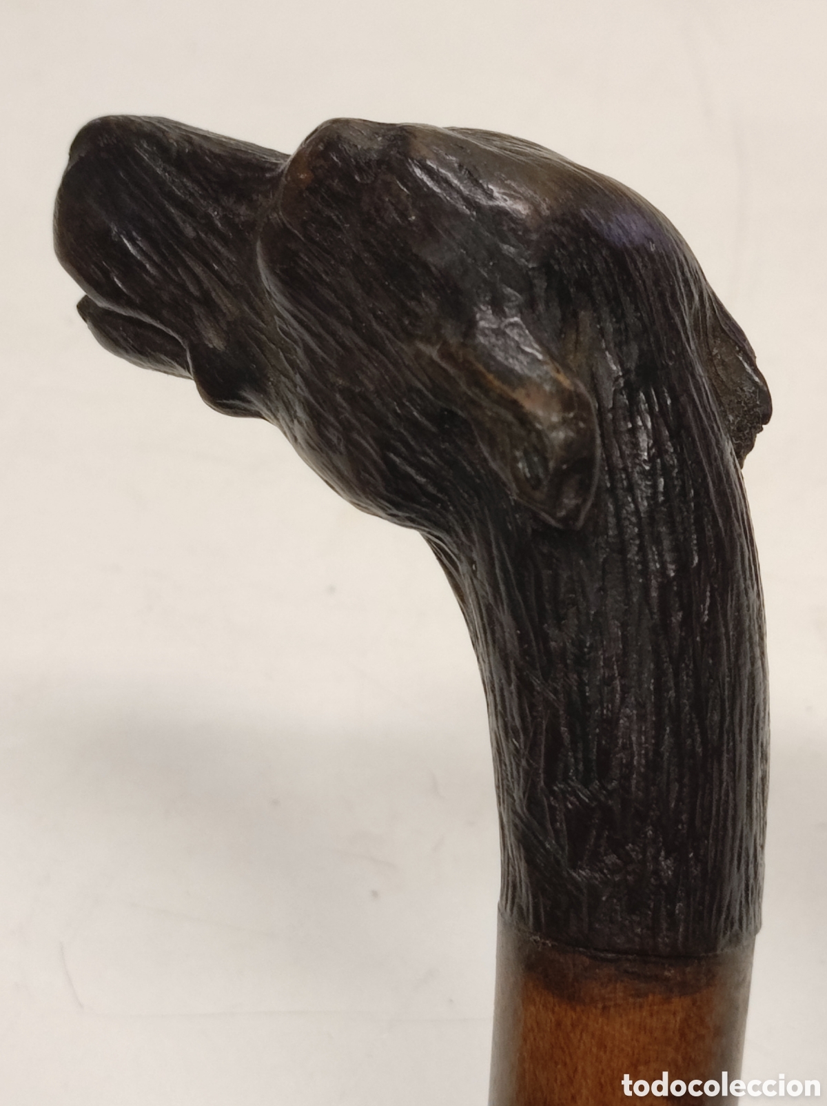Antig&uuml;edades: Bast&oacute;n madera de Malaca y cabeza de perro - Foto 5