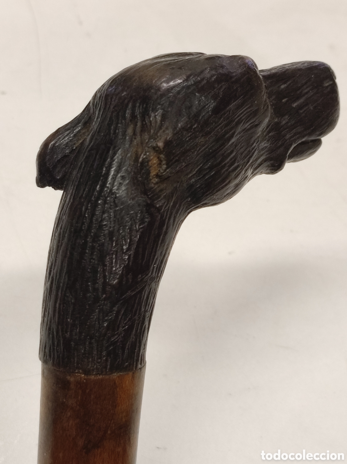 Antig&uuml;edades: Bast&oacute;n madera de Malaca y cabeza de perro - Foto 6