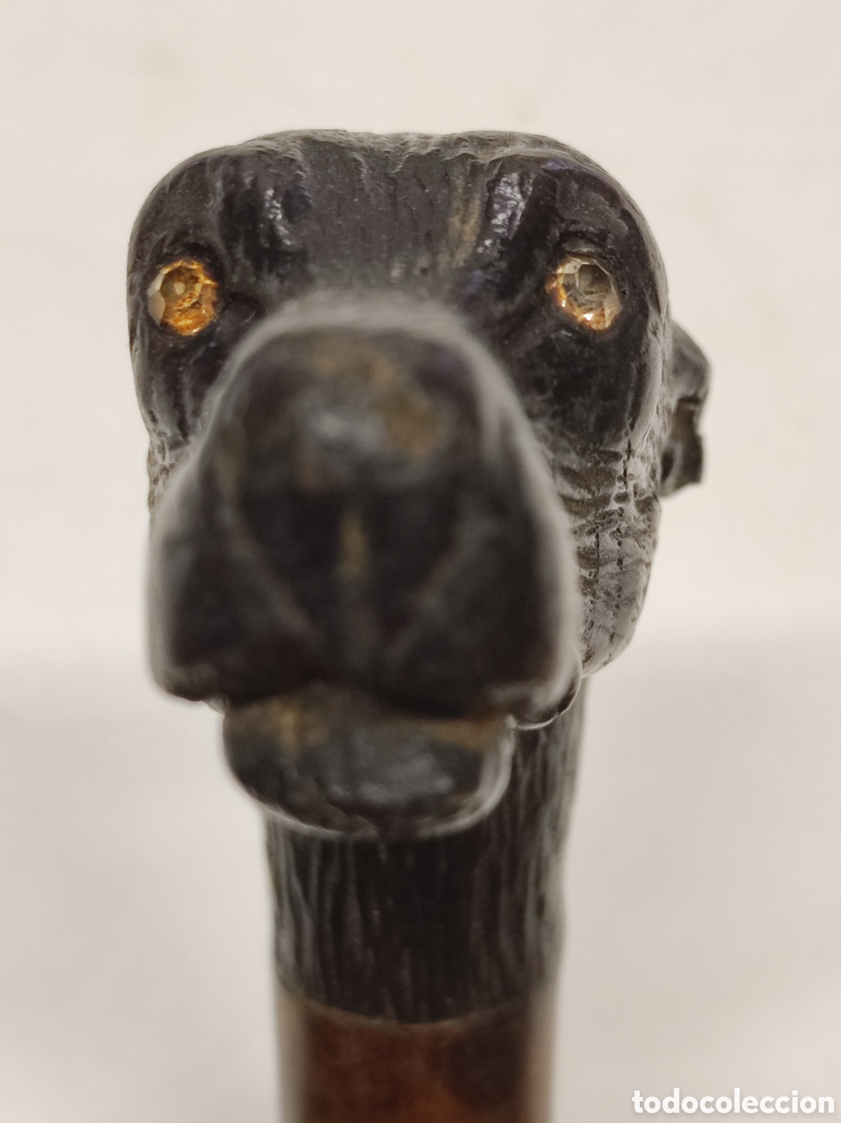 Antig&uuml;edades: Bast&oacute;n madera de Malaca y cabeza de perro - Foto 7