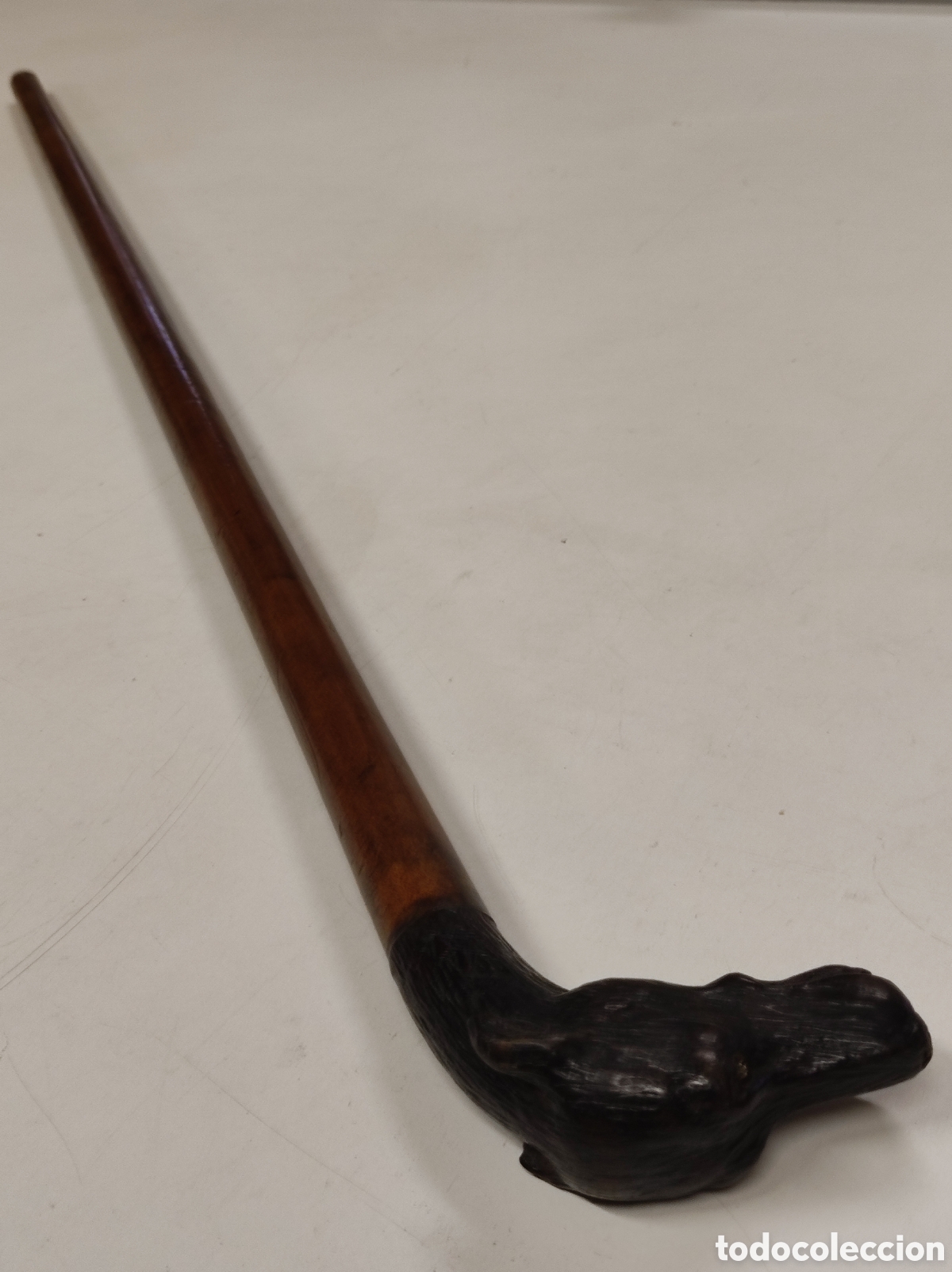 Antig&uuml;edades: Bast&oacute;n madera de Malaca y cabeza de perro - Foto 9