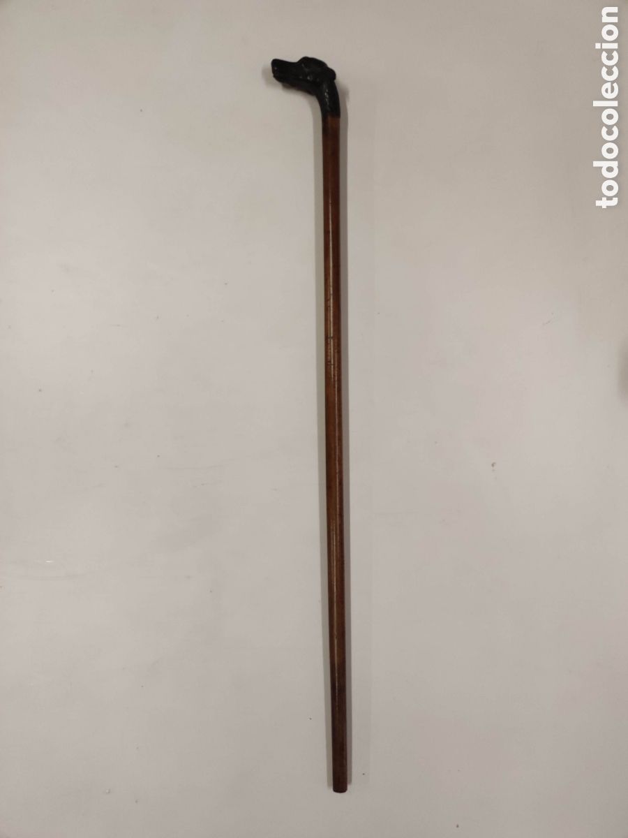 Antig&uuml;edades: Bast&oacute;n madera de Malaca y cabeza de perro - Foto 2