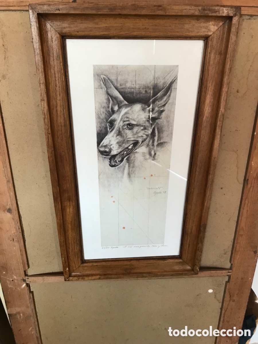 Antig&uuml;edades: Marco con l&aacute;mina de podenco - Foto 2