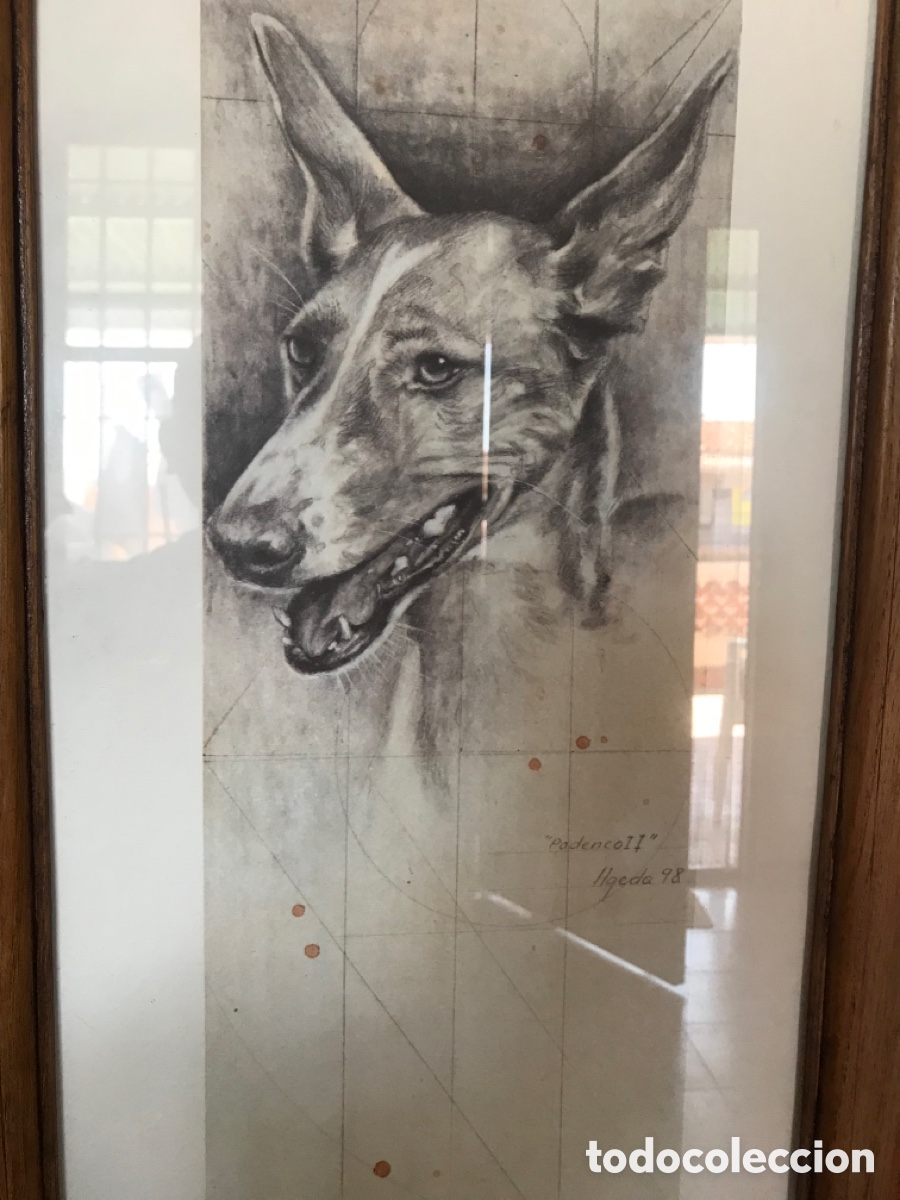 Antig&uuml;edades: Marco con l&aacute;mina de podenco - Foto 3