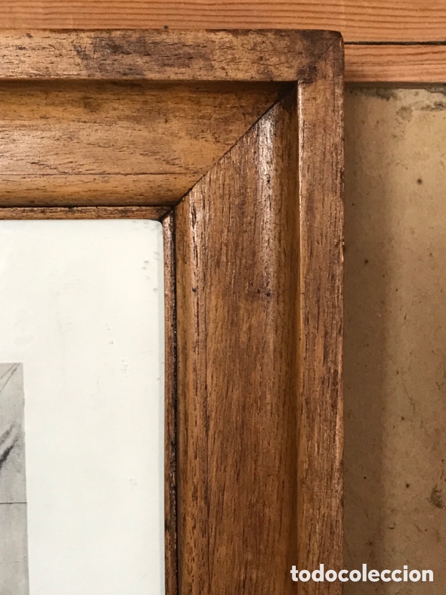 Antig&uuml;edades: Marco con l&aacute;mina de podenco - Foto 9