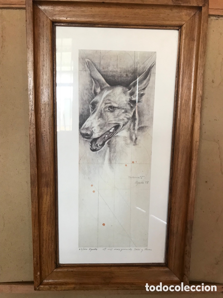 Antig&uuml;edades: Marco con l&aacute;mina de podenco - Foto 11