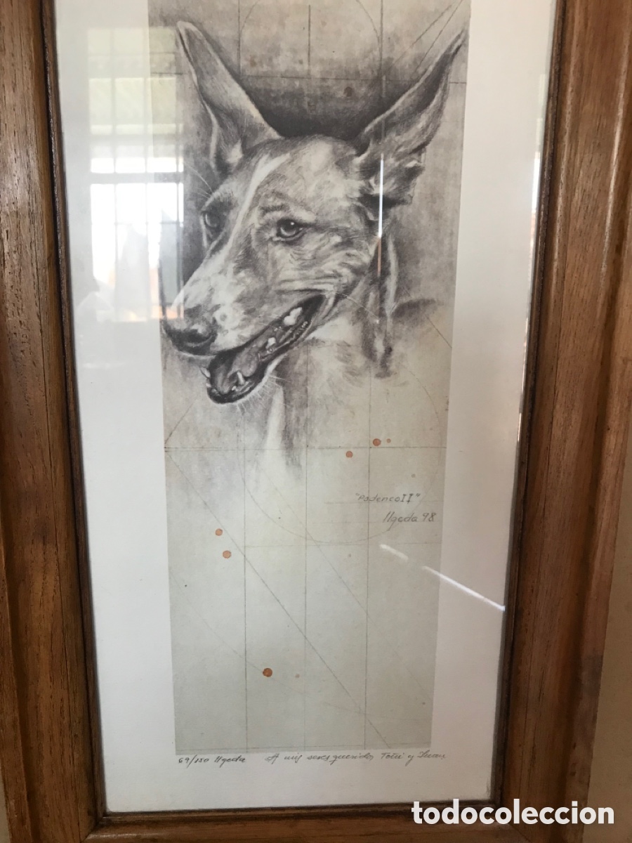 Antig&uuml;edades: Marco con l&aacute;mina de podenco - Foto 12