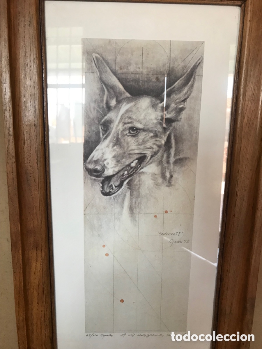 Antig&uuml;edades: Marco con l&aacute;mina de podenco - Foto 13