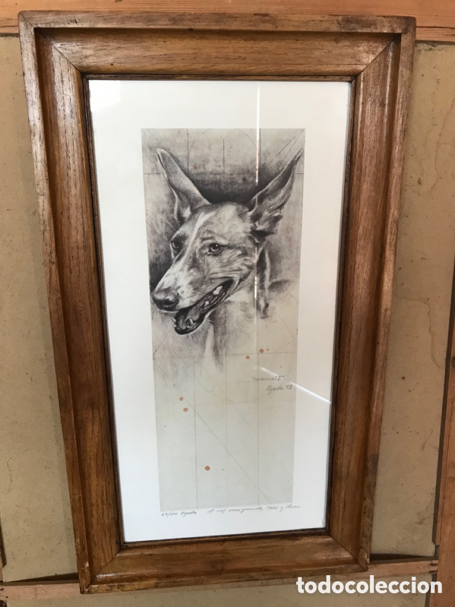Antig&uuml;edades: Marco con l&aacute;mina de podenco - Foto 1
