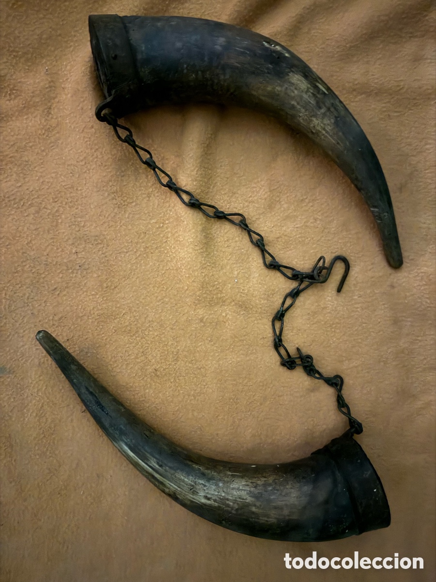 Antig&uuml;edades: Cuernos antiguos con cadena - Foto 1
