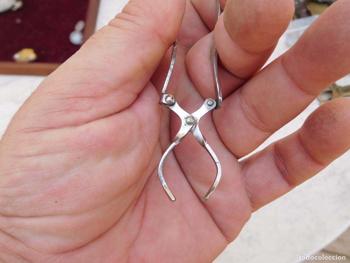 Antig&uuml;edades: Pinzas antiguas inglesas - Foto 4