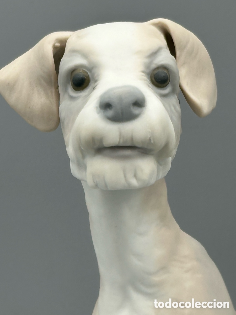 Antig&uuml;edades: REF: 01014583 &ldquo;PERRO Tipo 31&rdquo; MATE LLADR&Oacute; - Foto 2