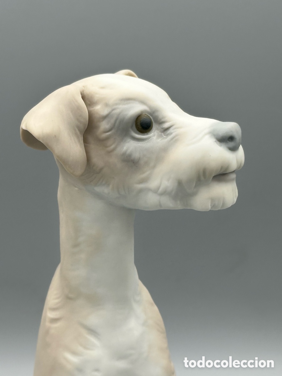 Antig&uuml;edades: REF: 01014583 &ldquo;PERRO Tipo 31&rdquo; MATE LLADR&Oacute; - Foto 6