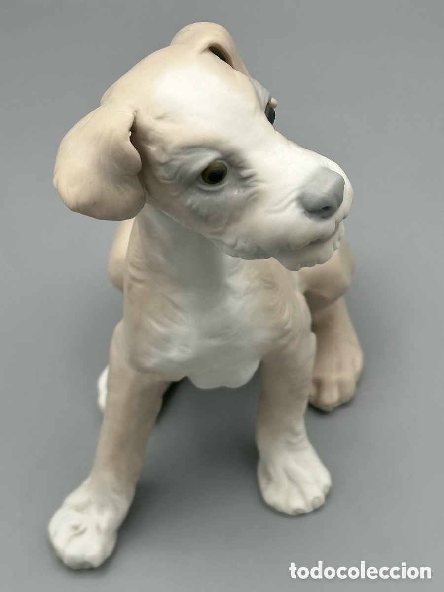 Antig&uuml;edades: REF: 01014583 &ldquo;PERRO Tipo 31&rdquo; MATE LLADR&Oacute; - Foto 7