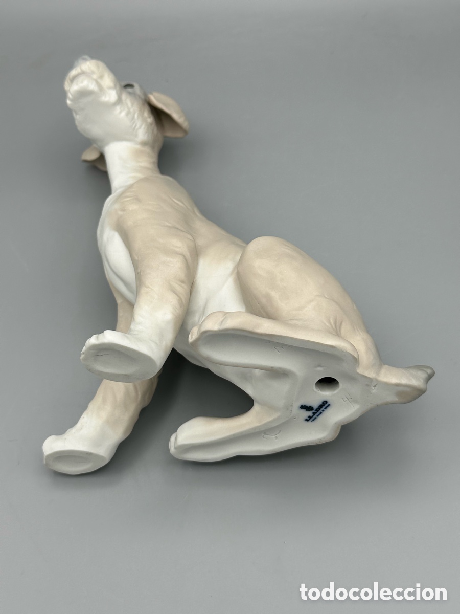 Antig&uuml;edades: REF: 01014583 &ldquo;PERRO Tipo 31&rdquo; MATE LLADR&Oacute; - Foto 8