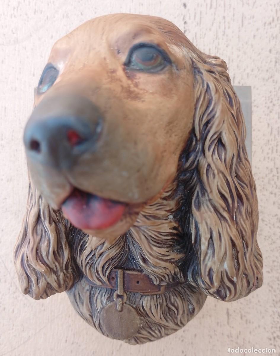 Antig&uuml;edades: Cabeza Cocker Spaniel en Escayola - Foto 1