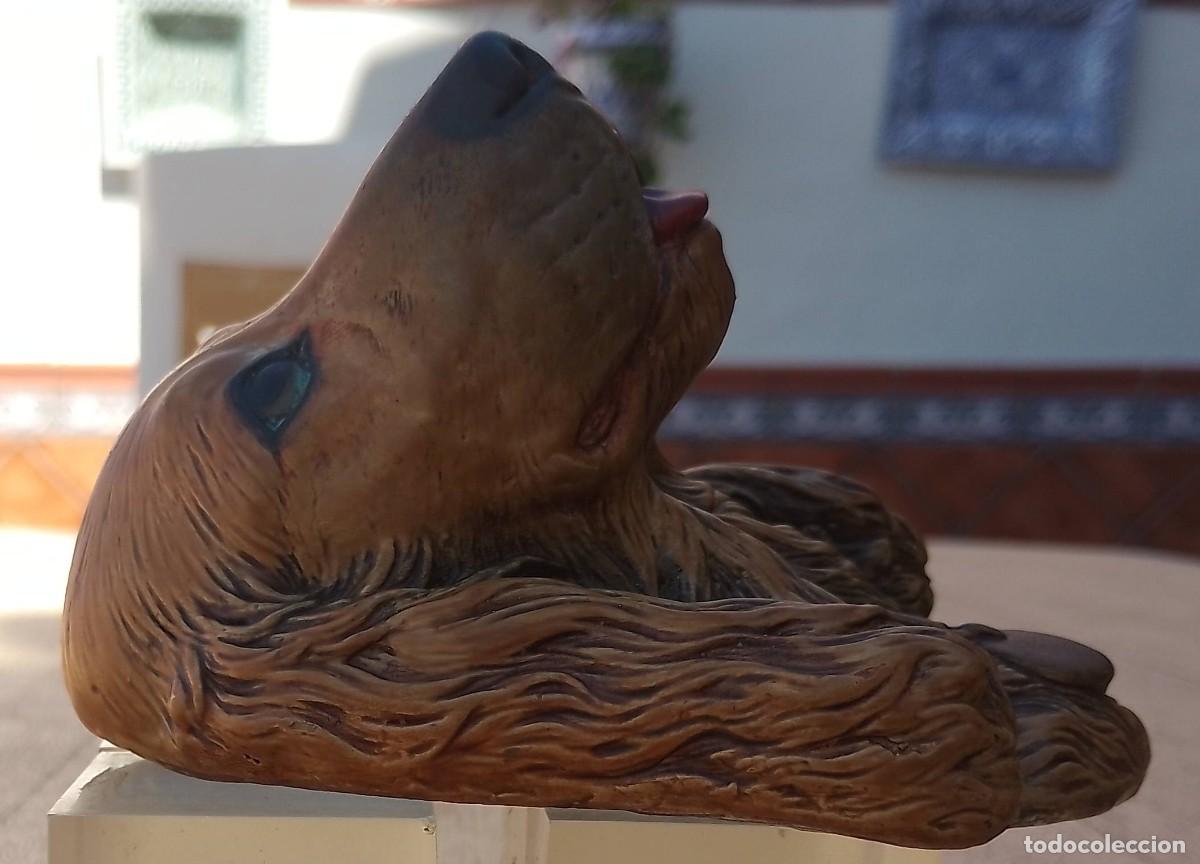 Antig&uuml;edades: Cabeza Cocker Spaniel en Escayola - Foto 3
