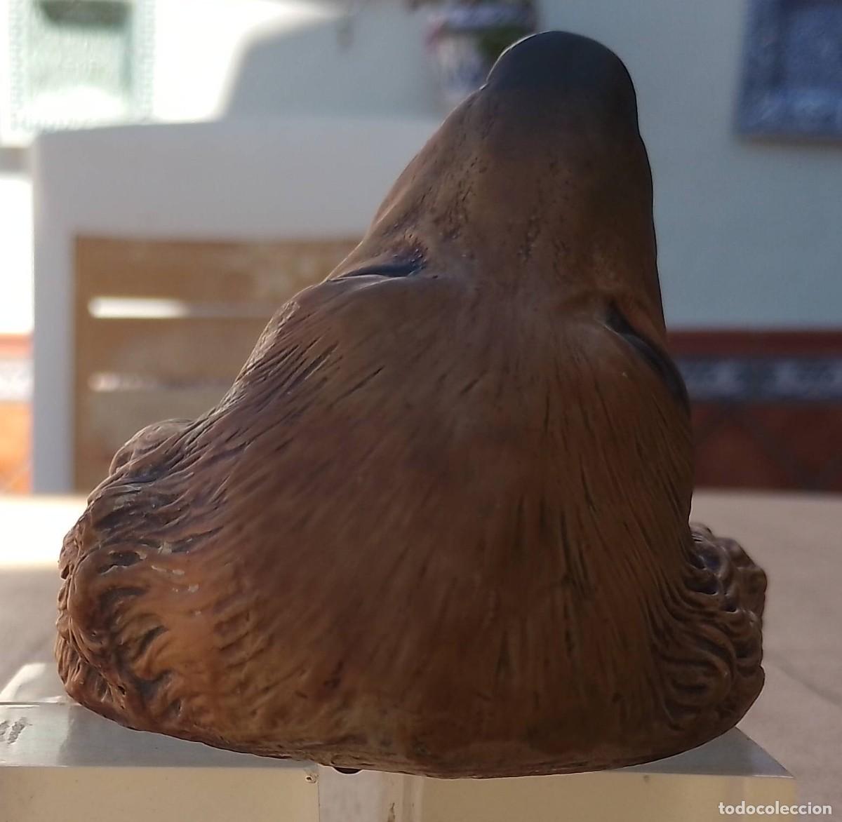 Antig&uuml;edades: Cabeza Cocker Spaniel en Escayola - Foto 4