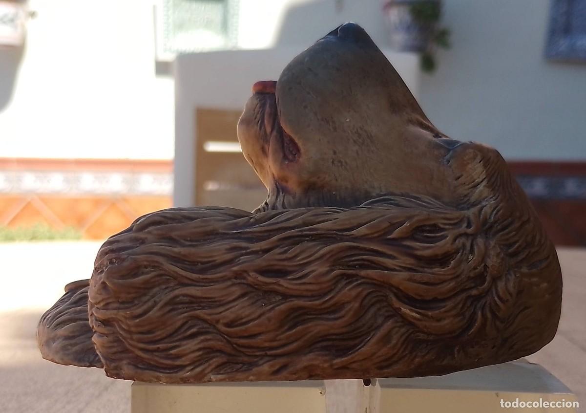 Antig&uuml;edades: Cabeza Cocker Spaniel en Escayola - Foto 5