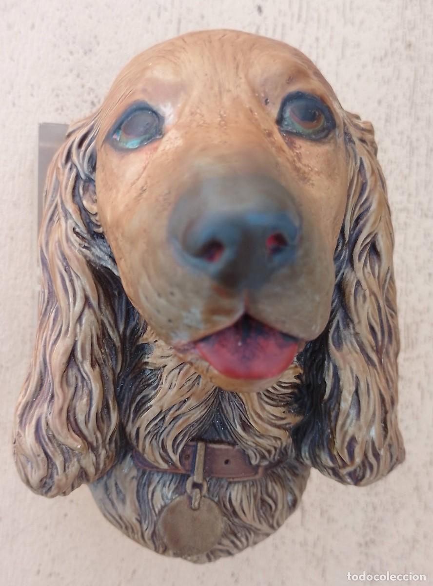 Antig&uuml;edades: Cabeza Cocker Spaniel en Escayola - Foto 6